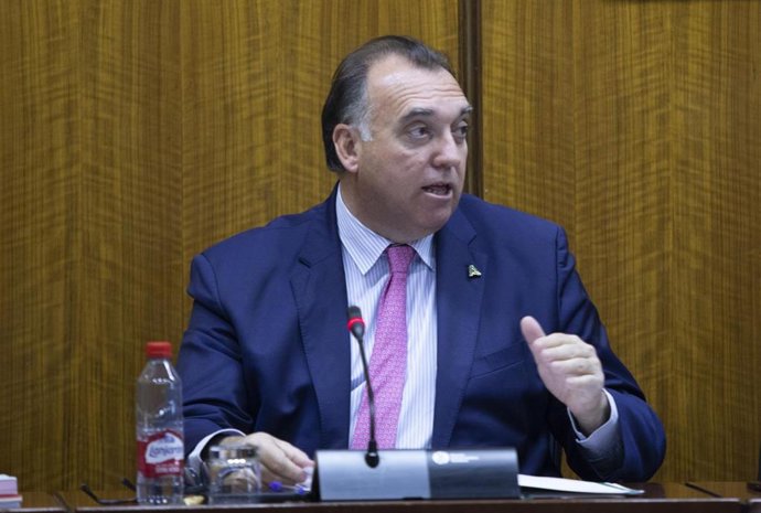 Archivo - El consejero de Turismo, Cultura y Deporte, Arturo Bernal.