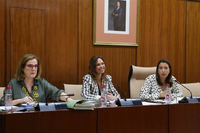 La consejera de Fomento, Articulación del Territorio y Vivienda, Rocío Díaz, en comisión parlamentaria este jueves.