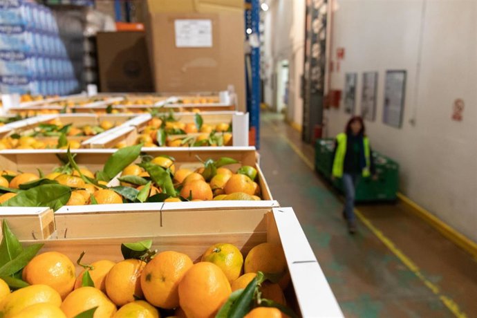 Archivo - Cajas de mandarinas en la Fundación Banco de Alimentos del Colegio de San Fernando.