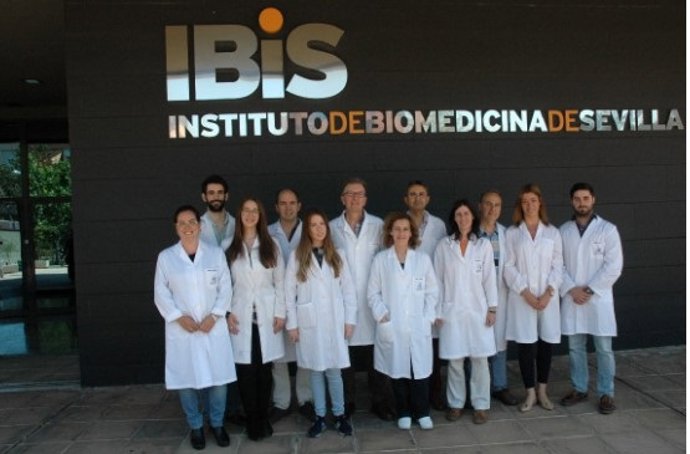 Grupo Envejecimiento neuronal -IBiS.