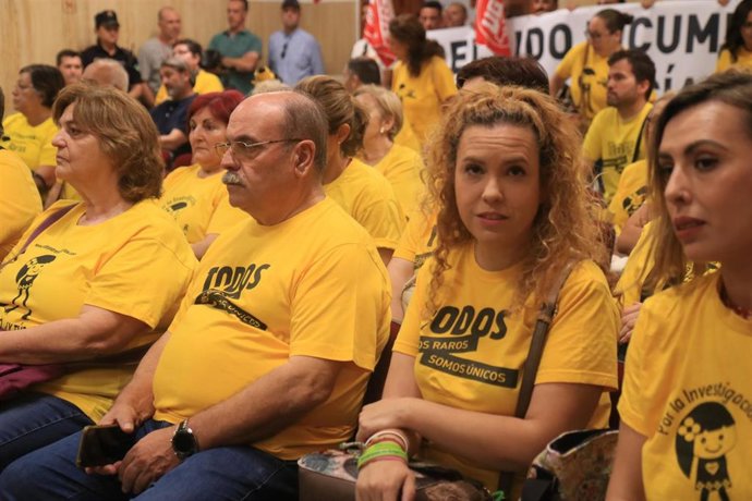 Representantes de la Federación Centro de Referencia Andaluz de Enfermedades Raras (Craer) en el Pleno del Ayuntamiento de Córdoba.