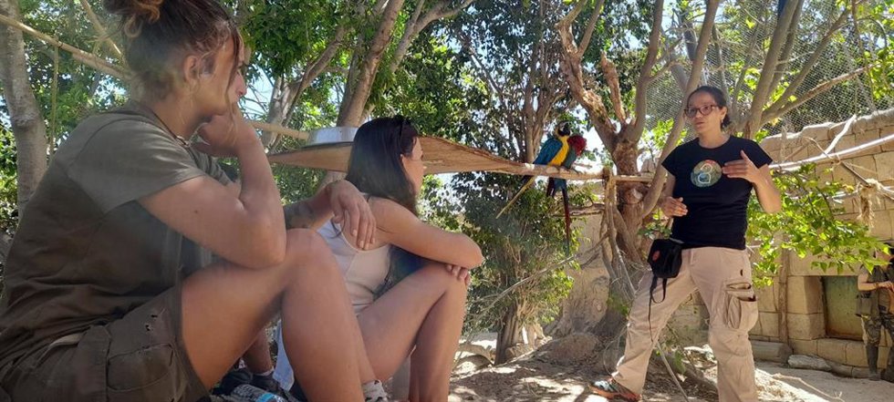 Un grupo integrado por 26 cuidadores, educadores, veterinarios, biólogos y estudiantes de prácticas de Terra Natura Benidorm se han formado en bienestar animal y en el entrenamiento de fauna salvaje.