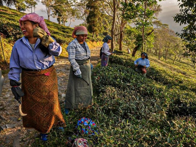 Lanzamiento de campaña, por Día Mundial Comercio Justo