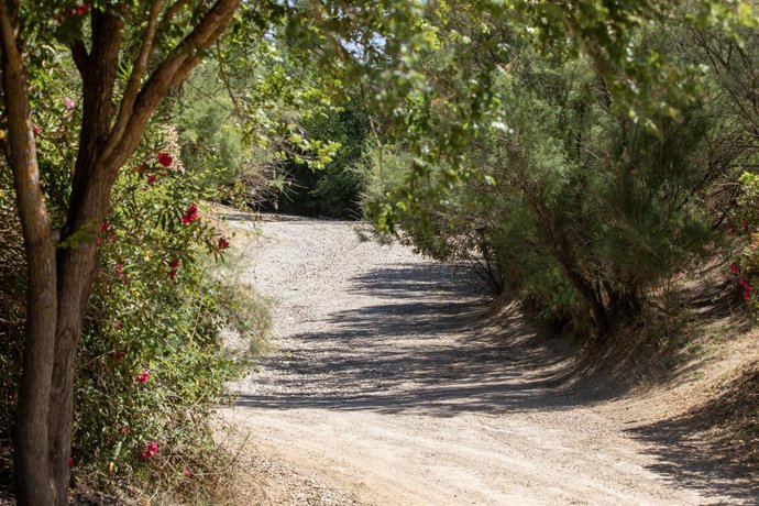 El Vado del Quema totalmente seco. A 11 de mayo de 2023, en Aznalcázar, (Sevilla, Andalucía, España). El Vado del Quema es un paso natural del río Guadiamar, por donde tradicionalmente pasan hermandades y los peregrinos camino al El Rocío, y donde se ba