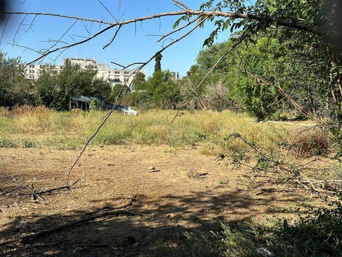 Estado que presentan las antiguas piscinas de El Fontanar.