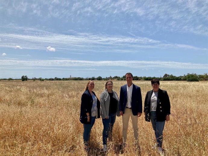 El candidato del PP al Consell de Mallorca, Lloren Galmés