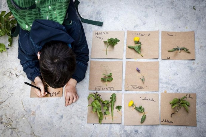 El IVAM se transforma en un jardín efímero de 200 especies con motivo del Día Internacional de los Museos