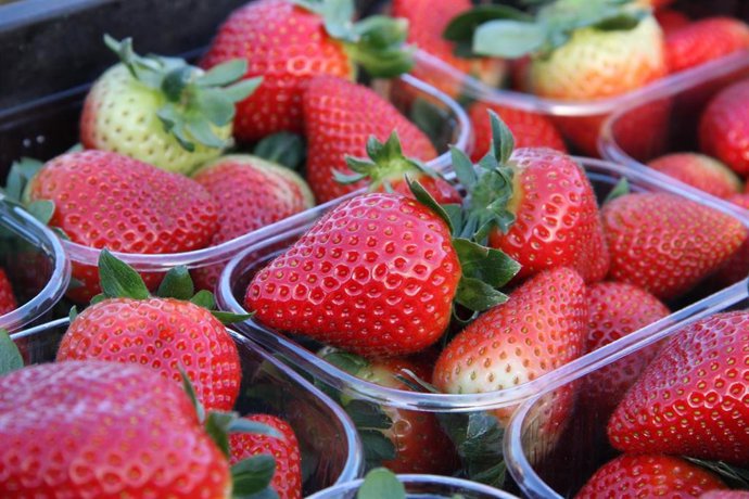 Tarrinas de fresas de Huelva.