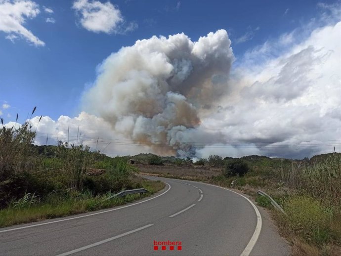 Incendio forestal en Bonastre (Tarragona)