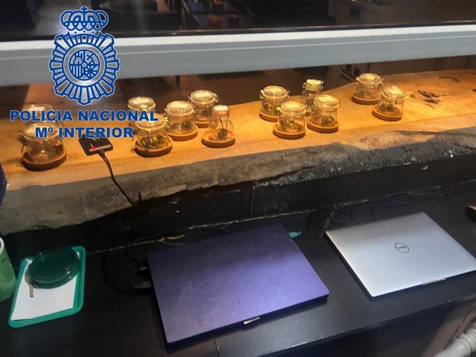 La Policía Nacional detiene a tres personas de una asociación cannábica