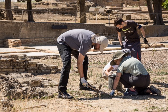 Trabajos de excavación en la Ínsula de Neptuno del complejo arqueológico de Itálica, en Santiponce.