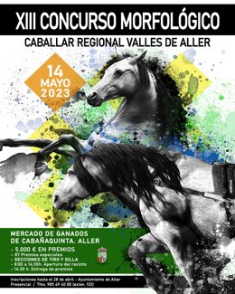 Concurso caballar en Aller