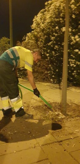 Nota De Prensa Contrato Riego Arbolado