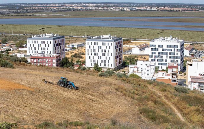 Limpieza de solares y laderas en Huelva.