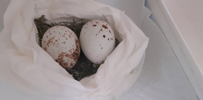 Huevos de milano real