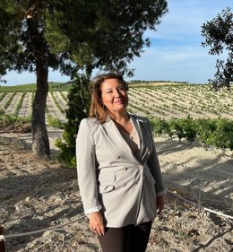 Np Capadr  La Consejera Recuerda Que Es El Gobierno Andaluz El Que Ha Salido Al Auxilio Del Estado, Si No Es Por La Junta, No Hay Obras