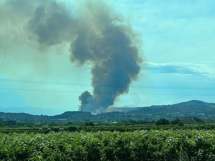 Declarado un incendio en Alfarp que obliga a evacuar algunas viviendas y activar la situación 1 del PEIF