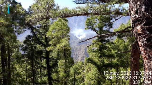 Equipos de la EIRIF del Gobierno de Canarias combatiendo el fuego del conato de incendio forestal de La Palma en la Caldera de Taburiente