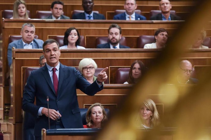 El presidente del Gobierno, Pedro Sánchez, interviene durante una sesión plenaria en el Congreso de los Diputados.