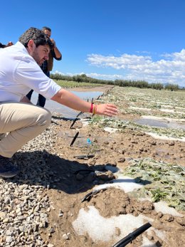 El presidente de la Comunidad, Fernando López Miras, visitó hoy cultivos afectados por el granizo en el día de ayer en el entorno de Lorca