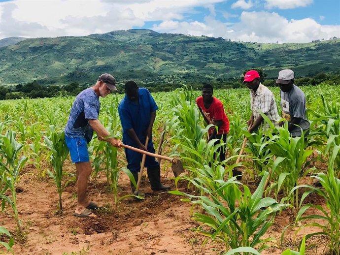 Archivo - Granja experimental en Mozambique impulsada por la Fundación Agricolae Mundi