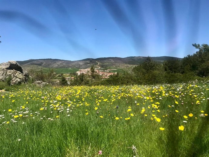 El municipio de Orea, en Guadalajara.