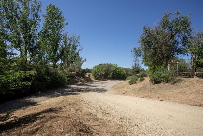 Vídeo de la noticia