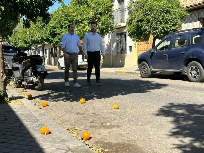 Juan Hidalgo camina, junto a otro candidato de Hacemos Córdoba, por una calle de Cañero con naranjas en el suelo sin recoger.