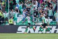 Betis keeps dreaming of the Champions League