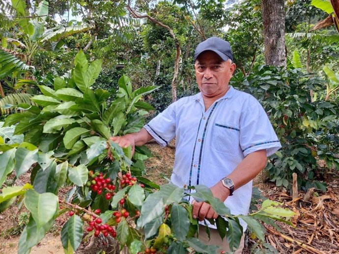 Archivo - Filantrópico y EthicHub se unen llevar café de especialidad más solidario y sostenible a las empresas