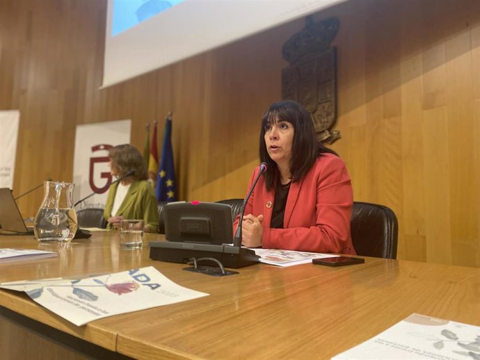 Seminario sobre desapariciones en la Diputación de Granada