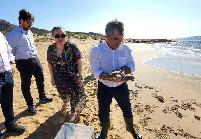 El consejero de Medio Ambiente, Mar Menor, Universidades e Investigación, Juan María Vázquez, durante la liberación de una tortuga boba tratada en el Centro de Recuperación de Fauna Silvestre El Valle