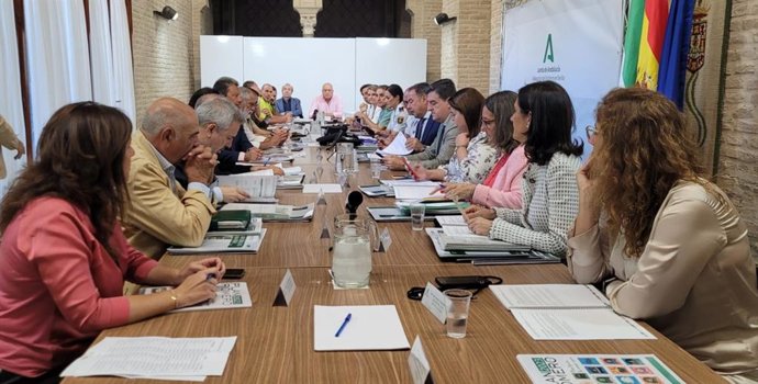 La reunión del Plan Romero ha estado presidida por el delegado del Gobierno de la Junta en Sevilla, Ricardo Sánchez.