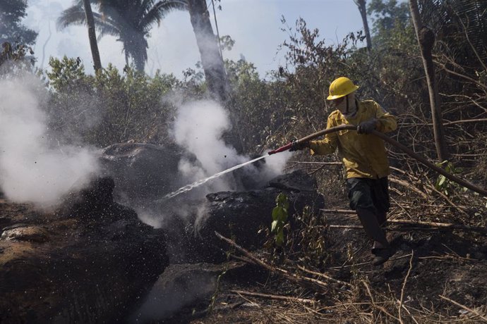 Archivo - August 15, 2020, Novo Progresso, Par, BRAZIL: Member of the fire brigade of the Brazilian Institute of the Environment and Renewable Natural Resources (IBAMA) tries to control a fire in an area of the Amazon rainforest, in the municipalit