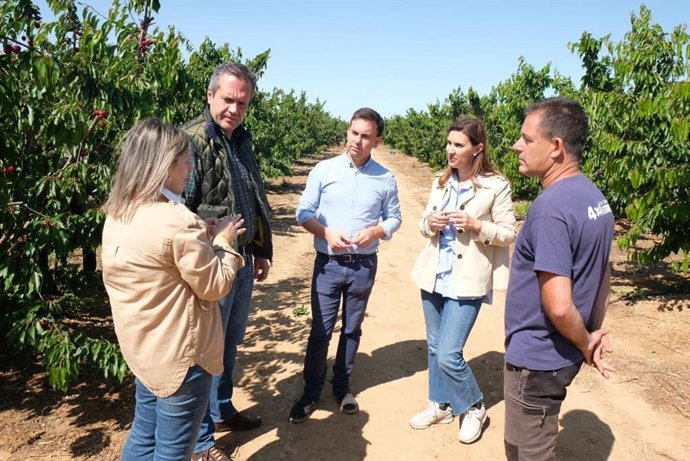El candidato a la Presidencia del Gobierno de Aragón de la coalición Ciudadanos Tu Aragón, Carlos Ortas, en una finca de cerezos