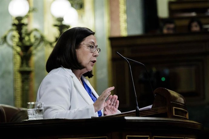 La diputada del PP y portavoz del partido de Universidades, María Jesús Moro Almaraz, en la sesion plenaria 