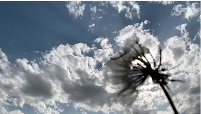 Archivo - Vientos de futuro, imagen de la videoinstalación de Toni Serra.