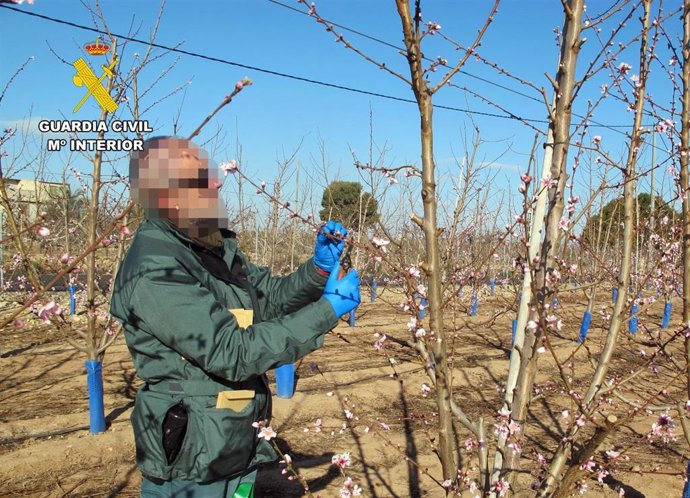 Imagen de un guardia civil, durante la investigación
