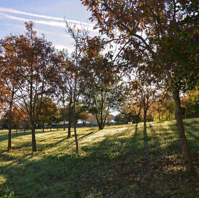 Archivo - Entorno Natural del Museo de Altamira, en Santillana del Mar