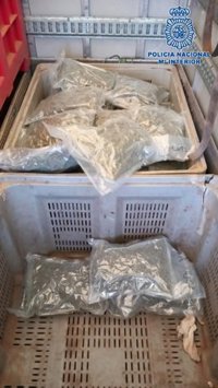 Detenido en Sevilla un conductor que transportaba en su camión 55 kilos de cogollos de marihuana