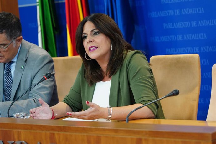 La portavoz parlamentaria del PSOE-A, Ángeles Férriz, y el diputado Gaspar Llanes, este miércoles en rueda de prensa. 