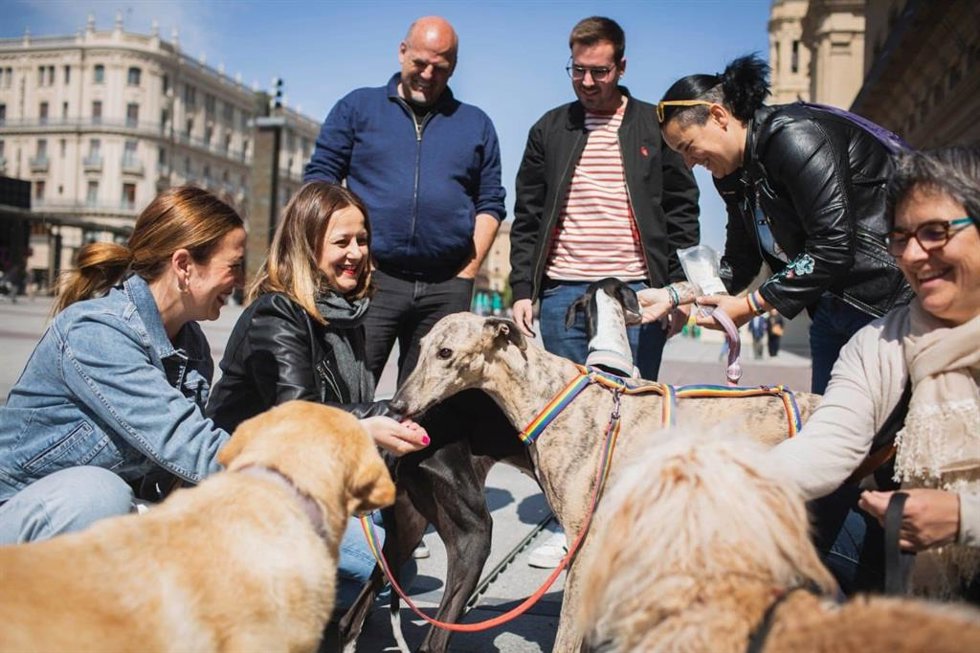 ZeC defiende una ciudad que proteja a los animales y cuide de los voluntarios de protectoras y colonias