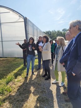 La consellera de Acción Climática, Alimentación y Agenda Rural, Teresa Jord.