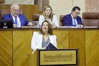 El Parlamento andaluz convalida el tercer decreto de sequía de la Junta sin votos en contra