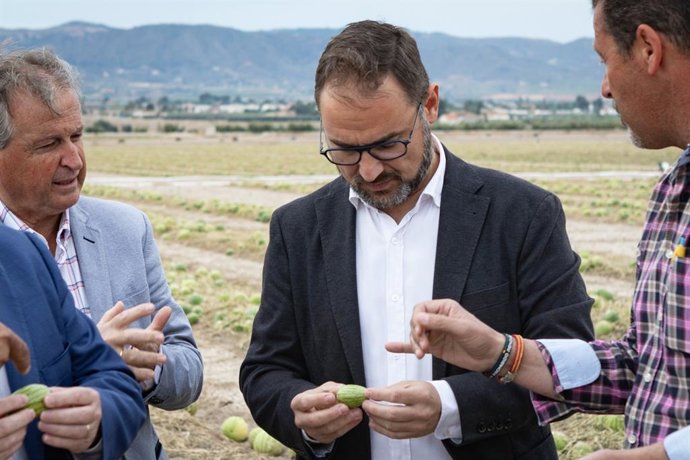El alcalde de Lorca, Diego José Mateos, visita uno de los cultivos afectados por la granizada del pasado sábado