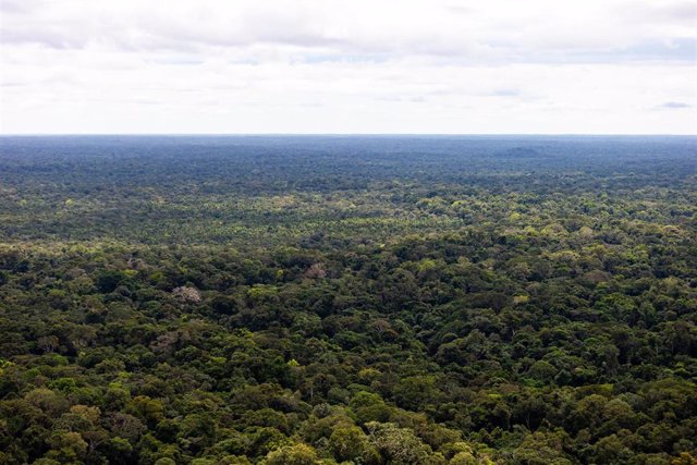 Archivo - Vista del Amazonas en la frotnera entre Brasil y Perú