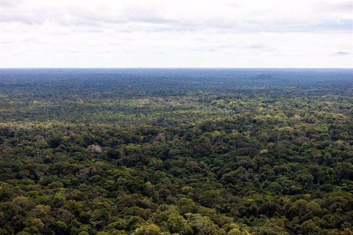 Archivo - Vista del Amazonas en la frotnera entre Brasil y Perú