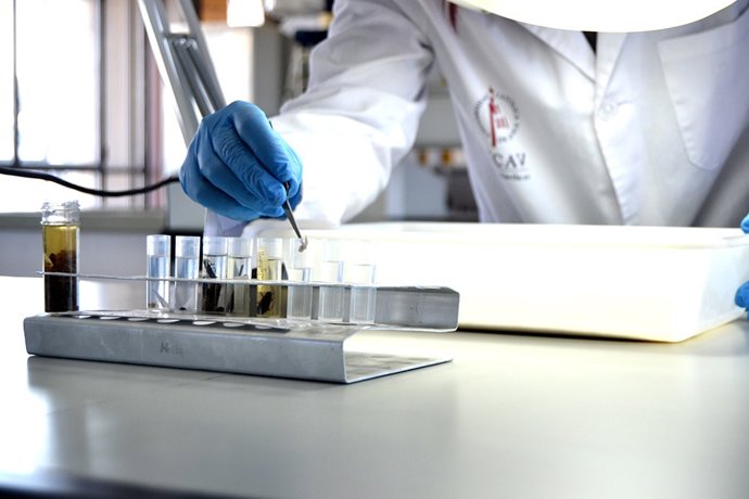 Archivo - Laboratorio de la UCAV.