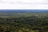 Foto: VÍDEO: Encontrados con vida tres niños y un bebé desaparecidos hace más de dos semanas en la selva de Colombia