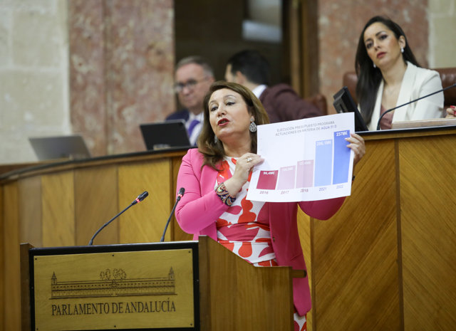 La consejera de Agricultura, Carmen Crespo, este jueves en el Pleno del Parlamento.